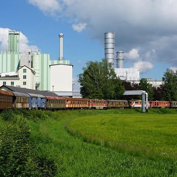 体育下注老虎机